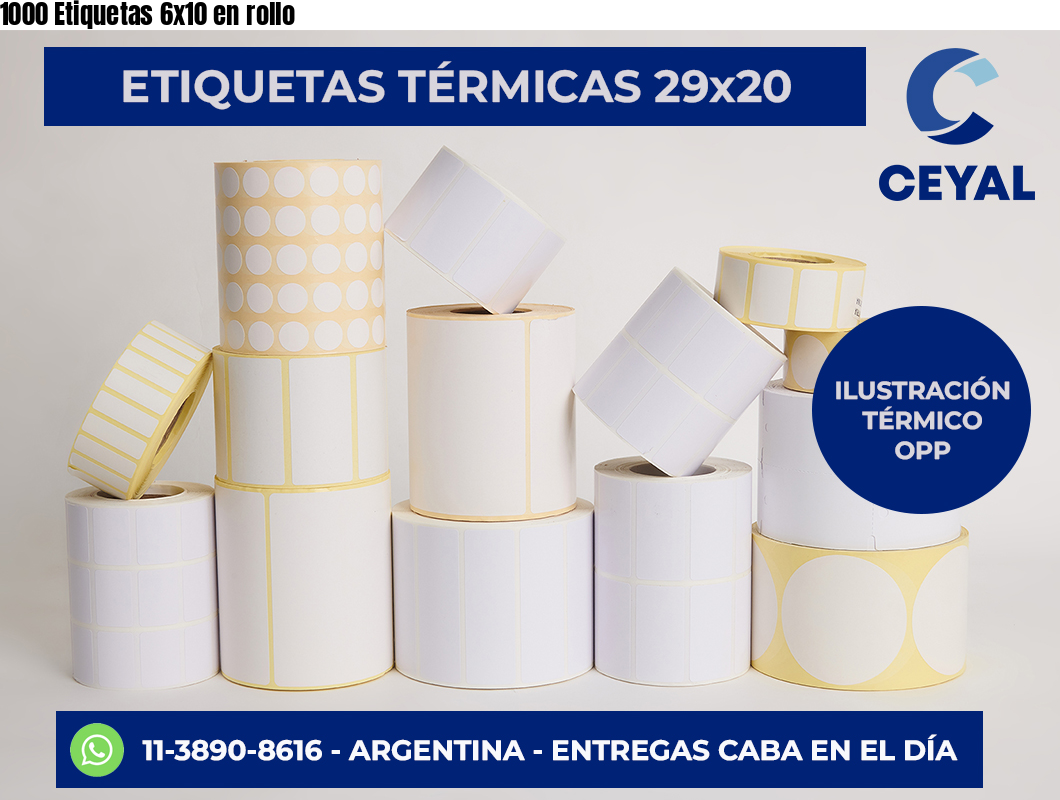 1000 Etiquetas 6x10 en rollo