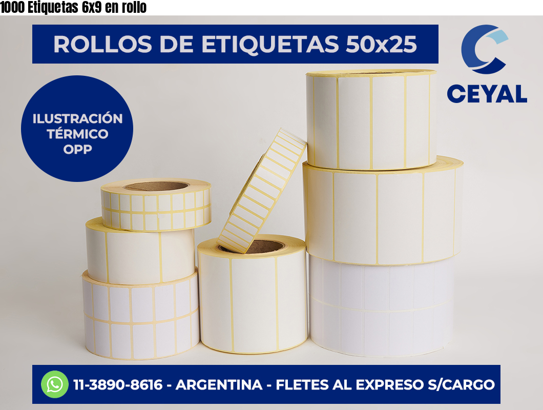 1000 Etiquetas 6x9 en rollo