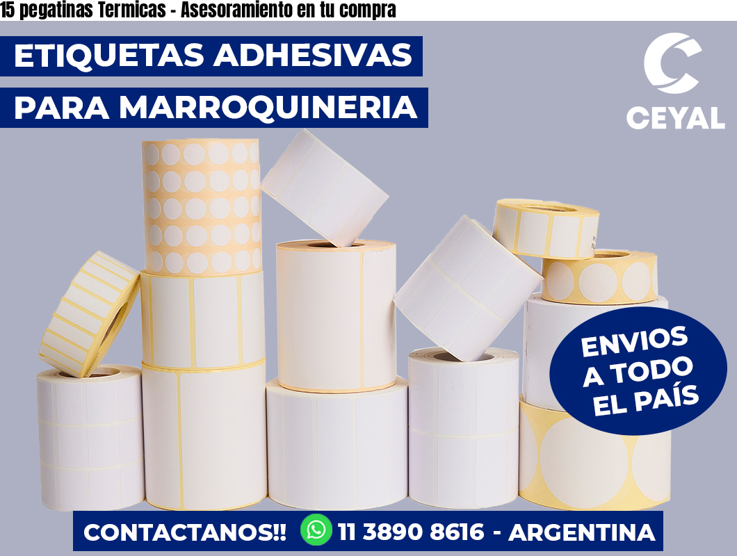 15 pegatinas Termicas - Asesoramiento en tu compra
