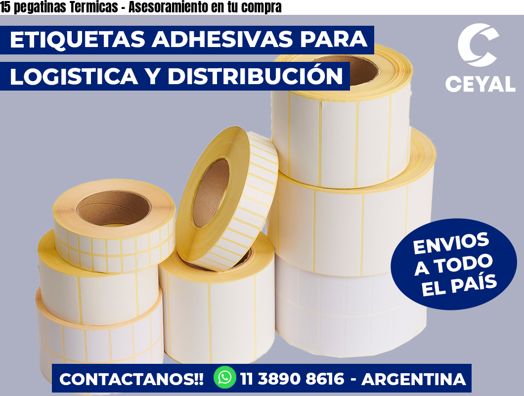 15 pegatinas Termicas - Asesoramiento en tu compra