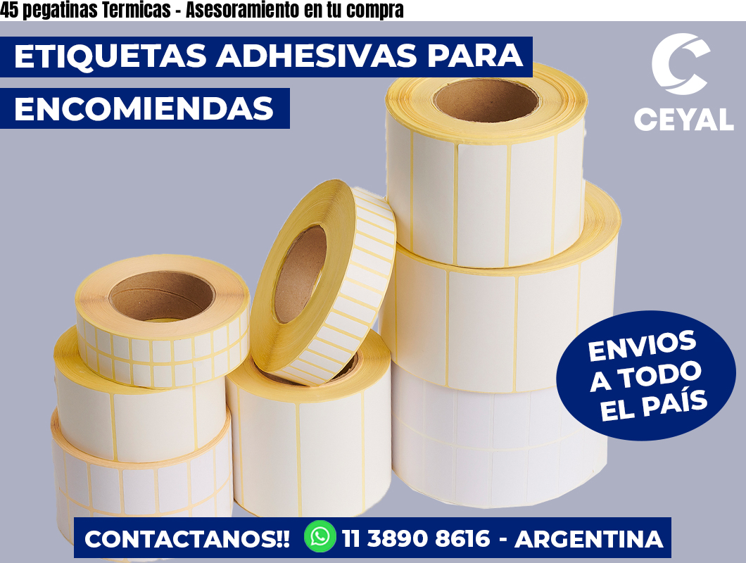 45 pegatinas Termicas - Asesoramiento en tu compra