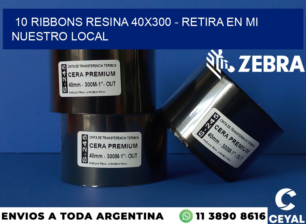 10 Ribbons resina 40x300 - retira en mi nuestro local