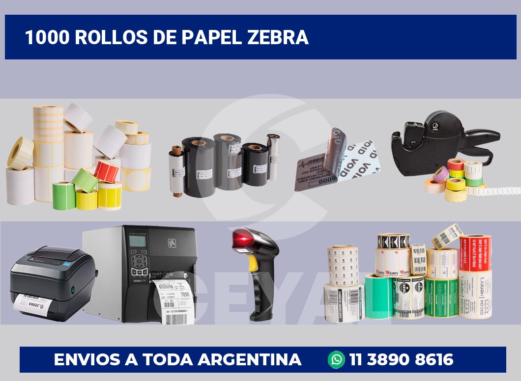 1000 Rollos de papel zebra