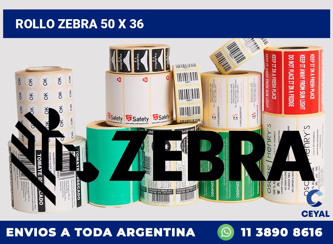 rollo zebra 50 x 36