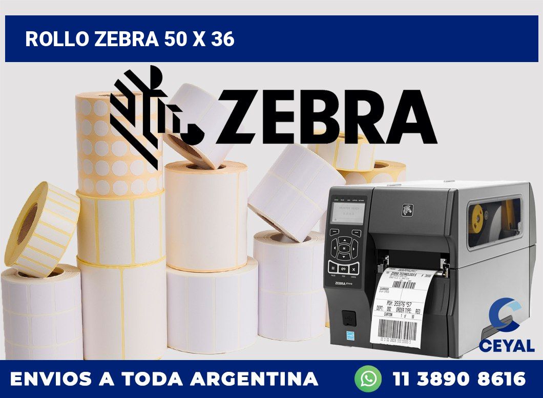 rollo zebra 50 x 36