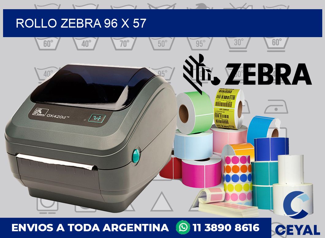 rollo zebra 96 x 57