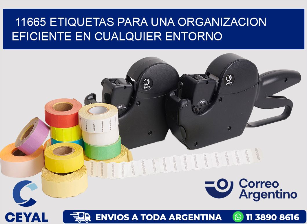 11665 ETIQUETAS PARA UNA ORGANIZACION EFICIENTE EN CUALQUIER ENTORNO