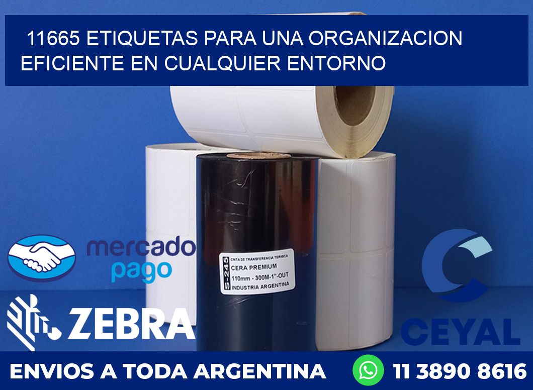 11665 ETIQUETAS PARA UNA ORGANIZACION EFICIENTE EN CUALQUIER ENTORNO