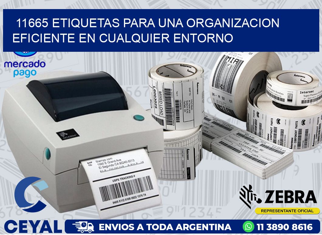 11665 ETIQUETAS PARA UNA ORGANIZACION EFICIENTE EN CUALQUIER ENTORNO