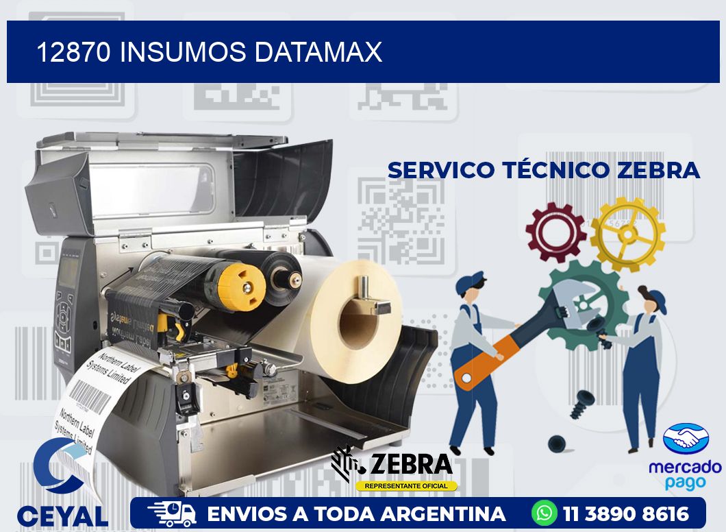 12870 INSUMOS DATAMAX