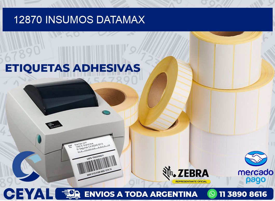 12870 INSUMOS DATAMAX