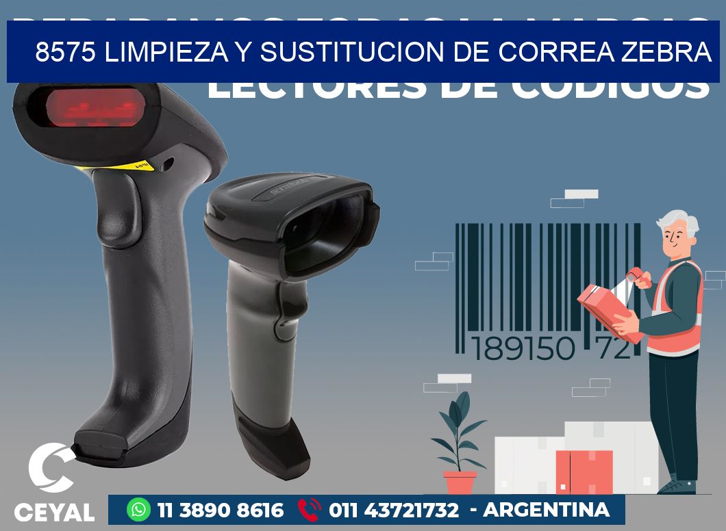 8575 LIMPIEZA Y SUSTITUCION DE CORREA ZEBRA