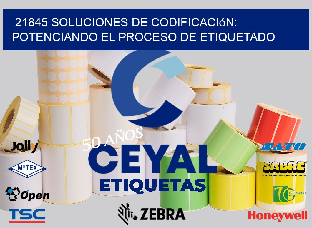 21845 Soluciones de Codificación: Potenciando el Proceso de Etiquetado