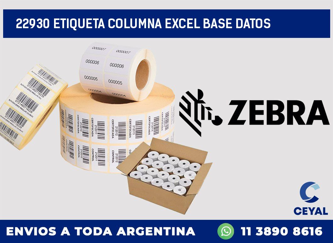 22930 etiqueta columna excel base datos