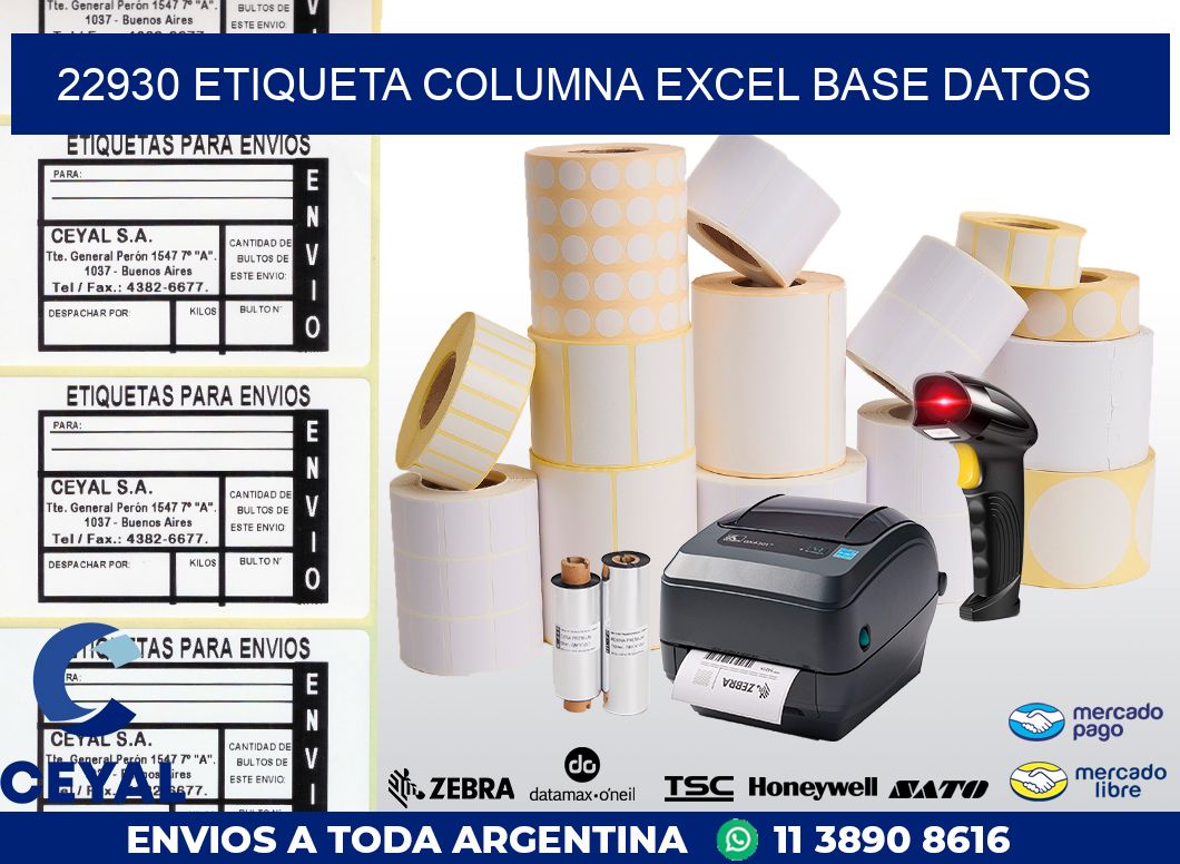 22930 etiqueta columna excel base datos