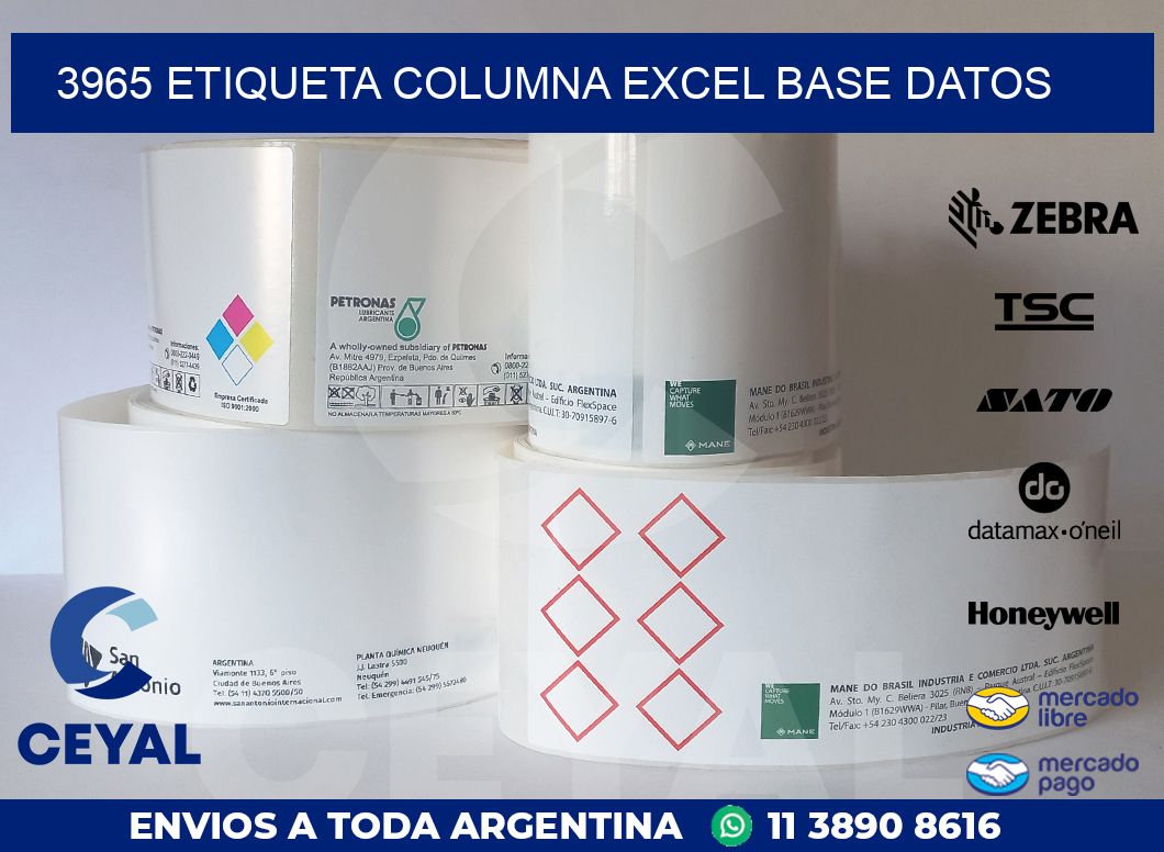 3965 etiqueta columna excel base datos