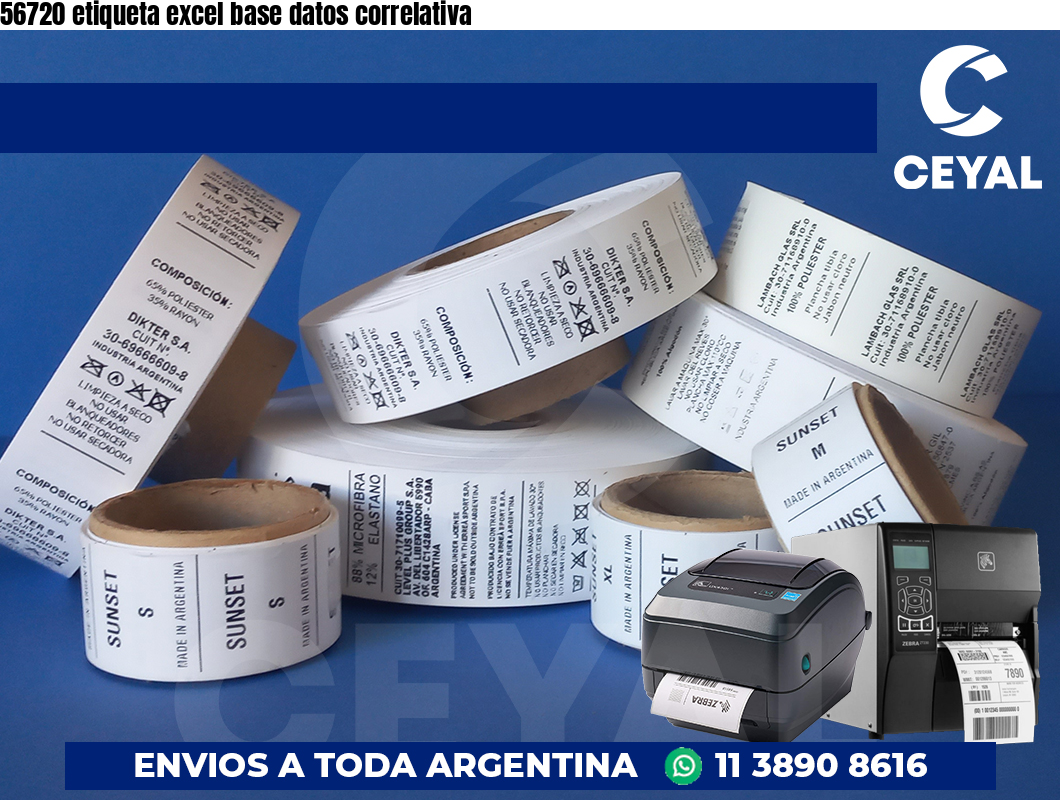 56720 etiqueta excel base datos correlativa