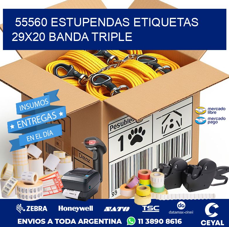 55560 ESTUPENDAS ETIQUETAS 29X20 BANDA TRIPLE