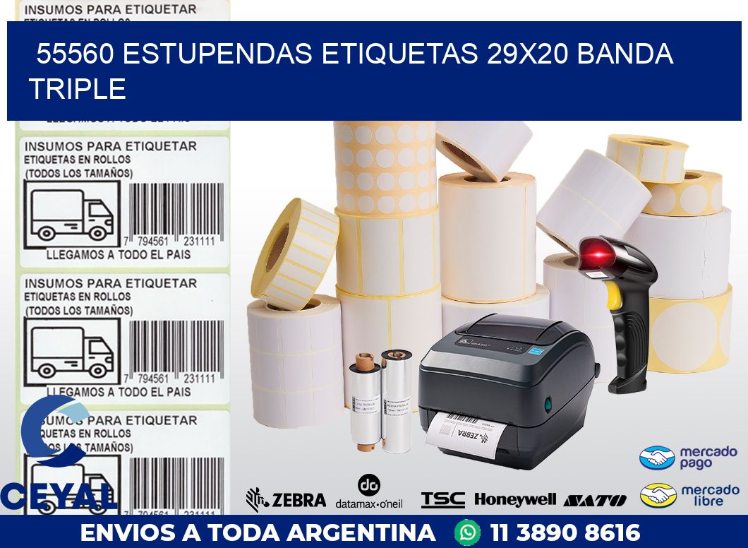 55560 ESTUPENDAS ETIQUETAS 29X20 BANDA TRIPLE