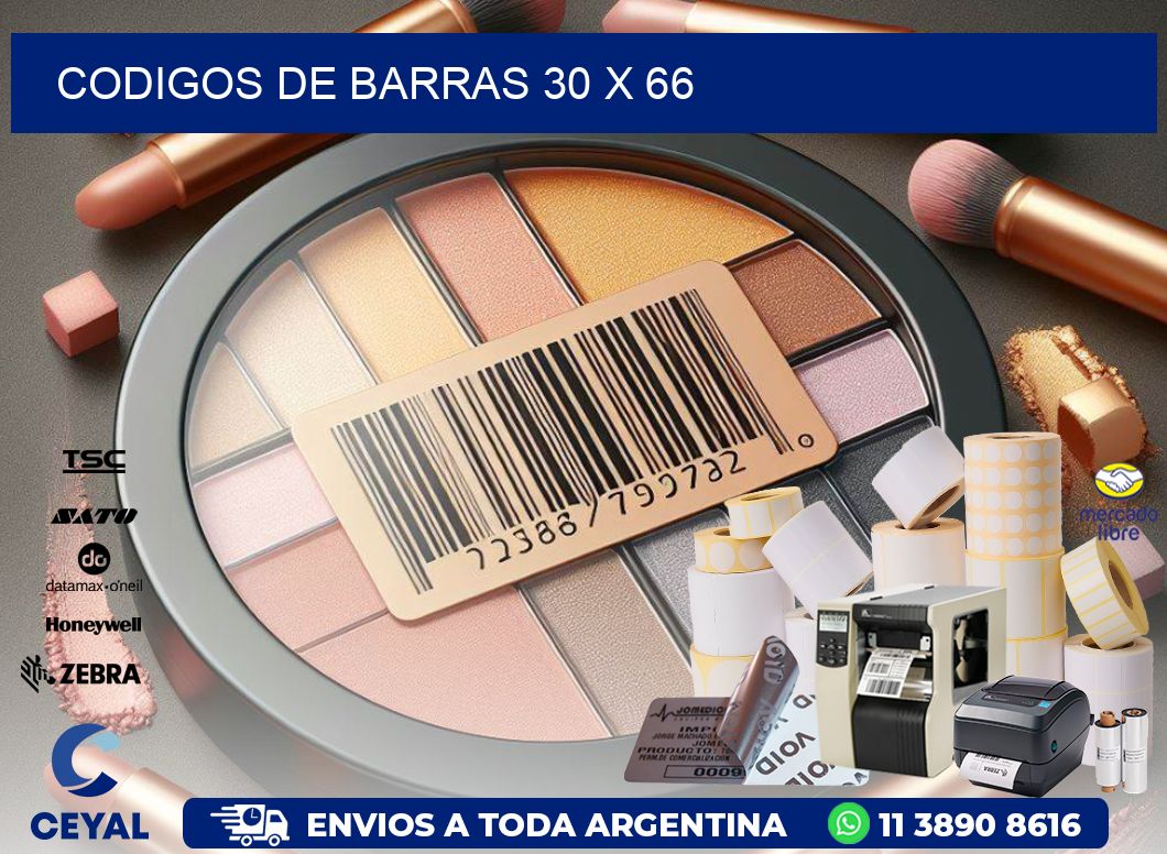 codigos de barras 30 x 66