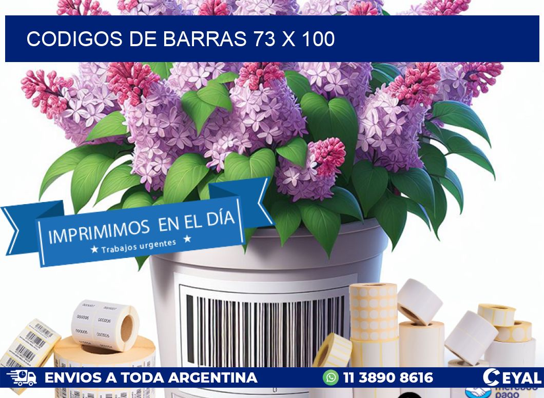 codigos de barras 73 x 100