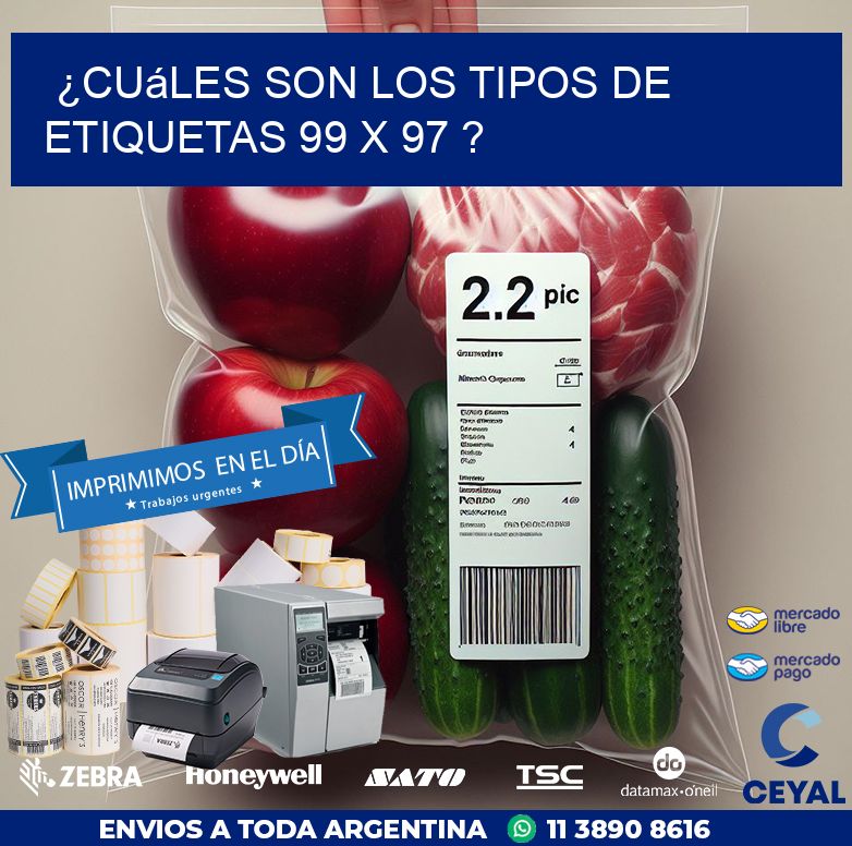 ¿Cuáles son los tipos de etiquetas 99 x 97 ?
