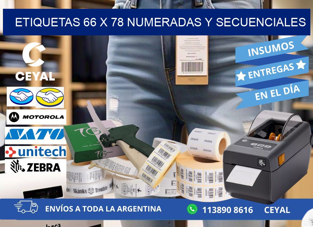 Etiquetas 66 x 78 Numeradas y Secuenciales