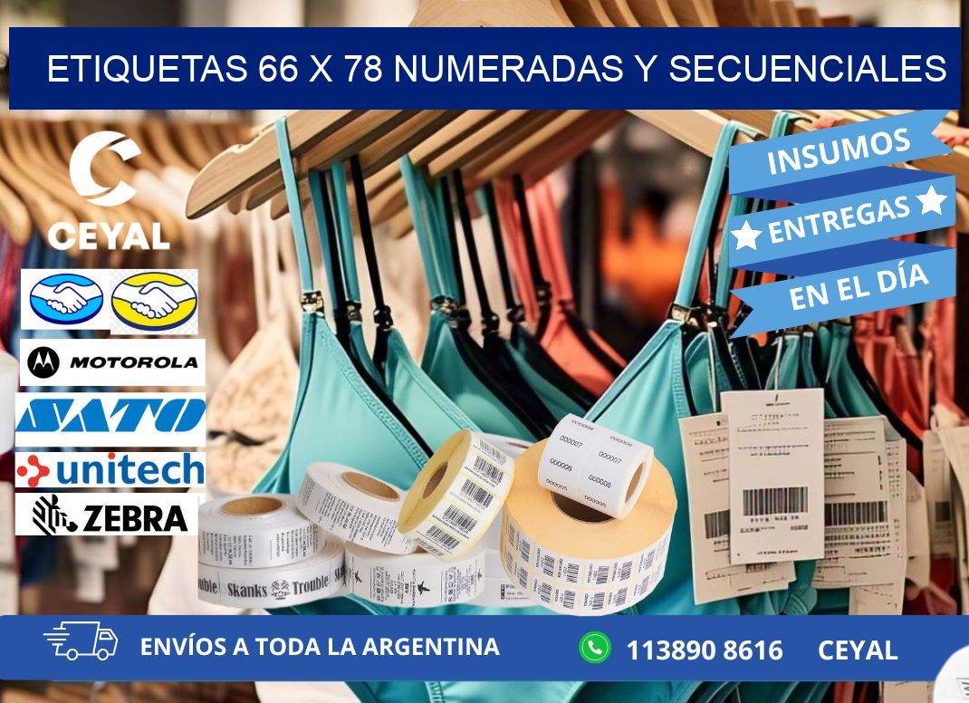 Etiquetas 66 x 78 Numeradas y Secuenciales