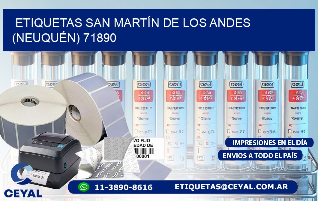 ETIQUETAS SAN MARTÍN DE LOS ANDES (NEUQUÉN) 71890