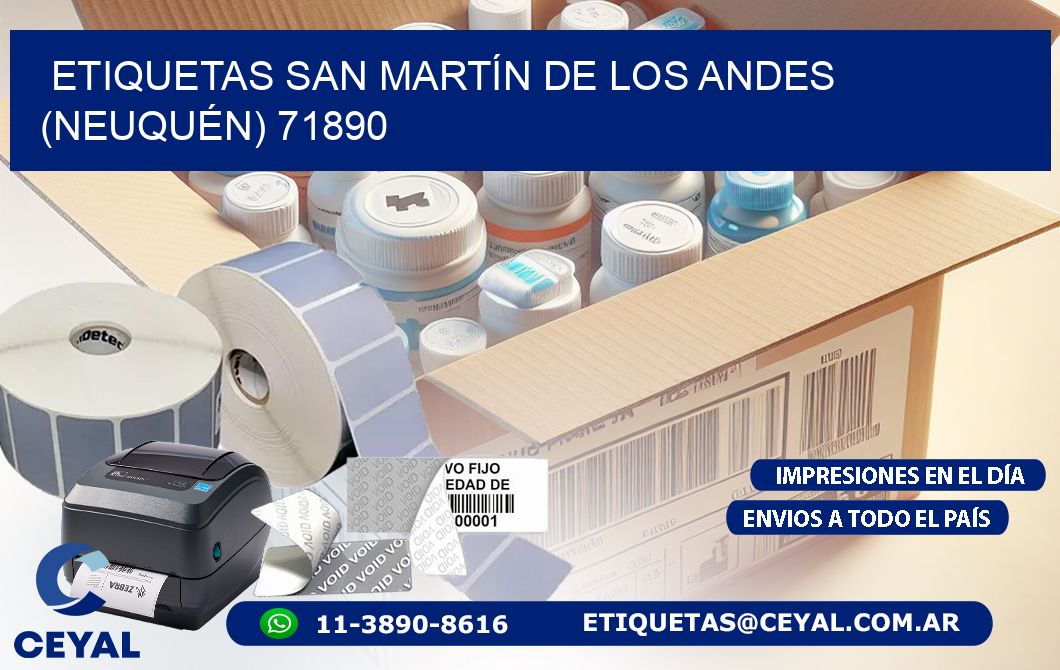 ETIQUETAS SAN MARTÍN DE LOS ANDES (NEUQUÉN) 71890