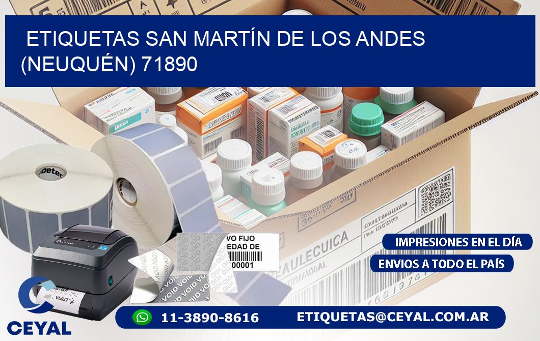 ETIQUETAS SAN MARTÍN DE LOS ANDES (NEUQUÉN) 71890