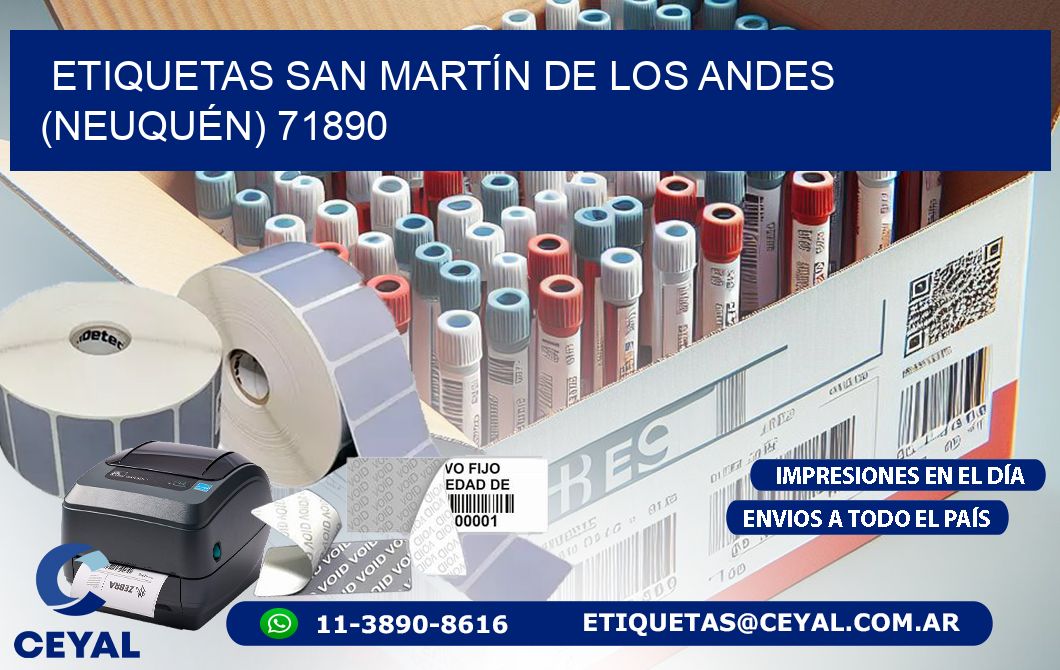 ETIQUETAS SAN MARTÍN DE LOS ANDES (NEUQUÉN) 71890
