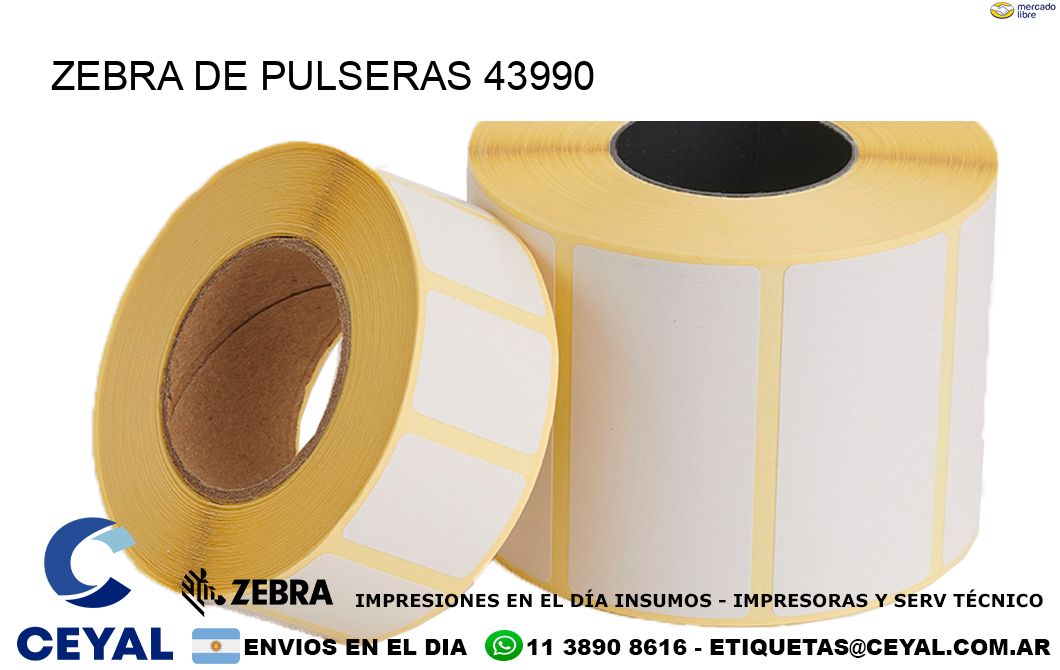 ZEBRA DE PULSERAS 43990