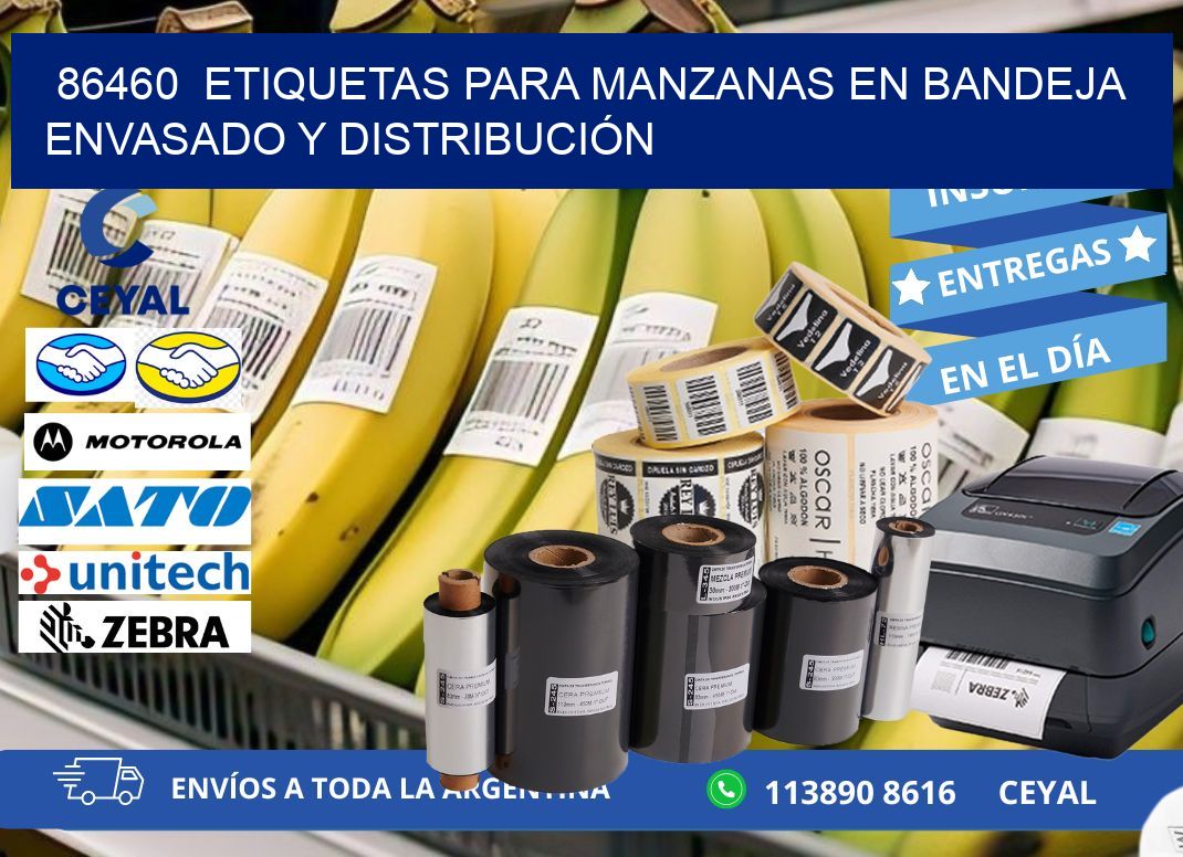 86460  ETIQUETAS PARA MANZANAS EN BANDEJA ENVASADO Y DISTRIBUCIÓN