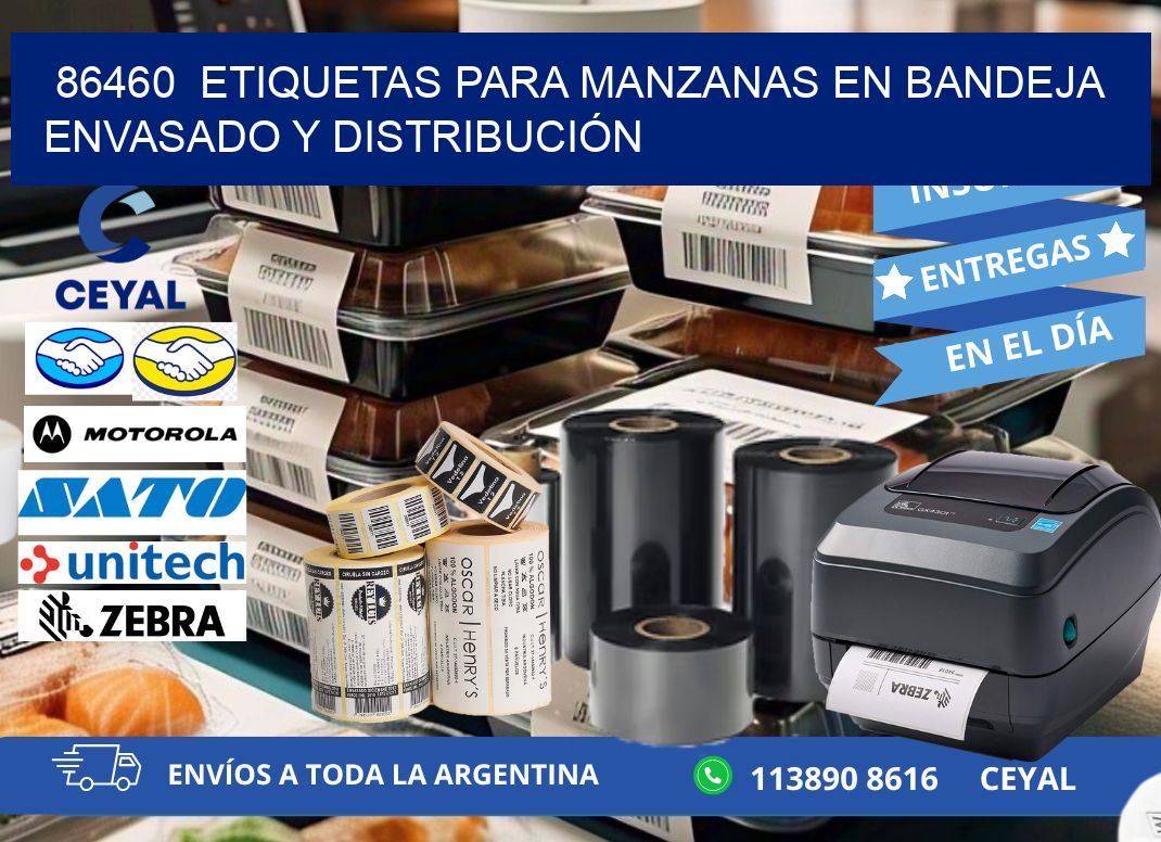 86460  ETIQUETAS PARA MANZANAS EN BANDEJA ENVASADO Y DISTRIBUCIÓN