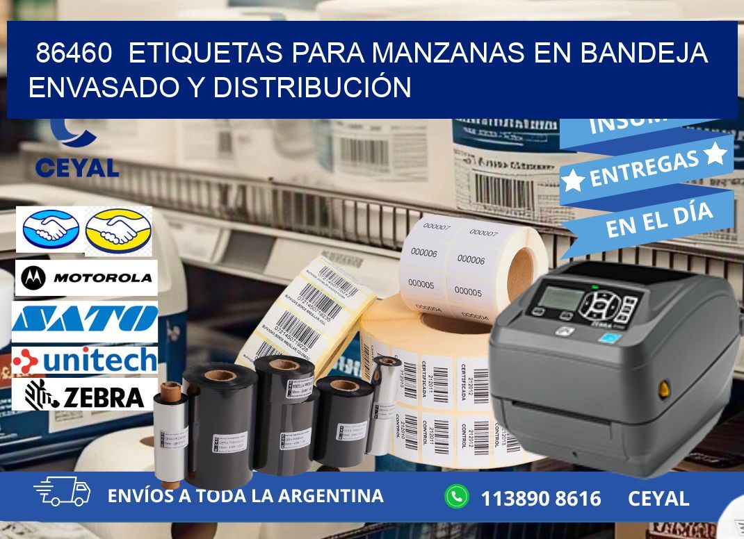 86460  ETIQUETAS PARA MANZANAS EN BANDEJA ENVASADO Y DISTRIBUCIÓN