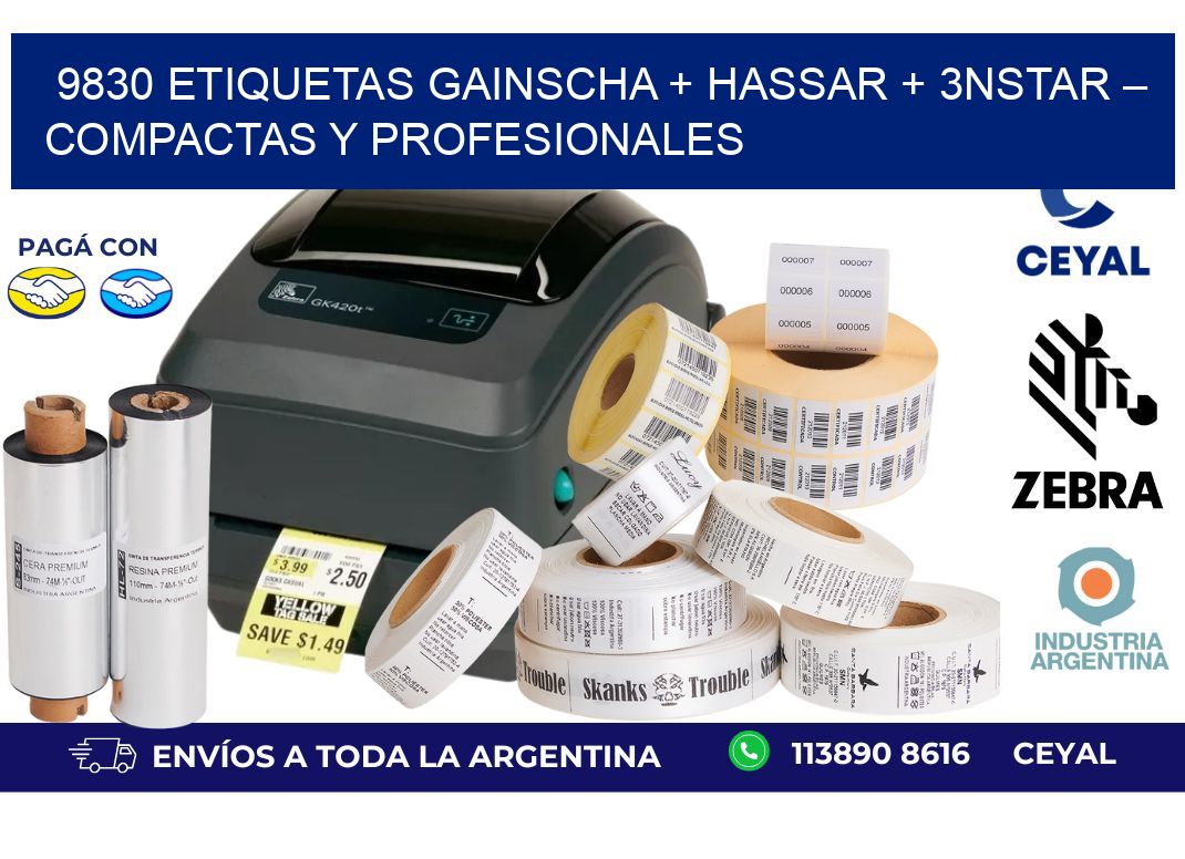 9830 etiquetas Gainscha + Hassar + 3nStar – Compactas y Profesionales