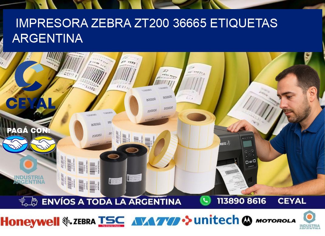 Impresora zebra zt200 36665 etiquetas argentina