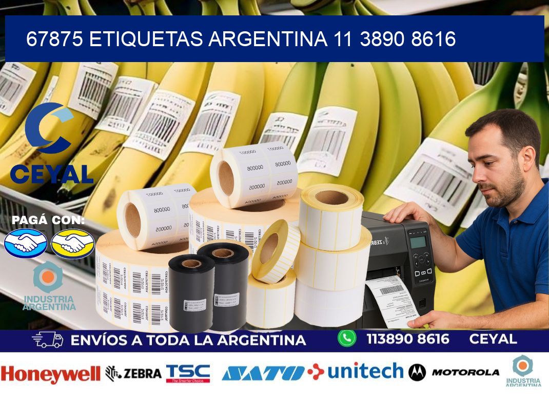 67875 ETIQUETAS ARGENTINA 11 3890 8616