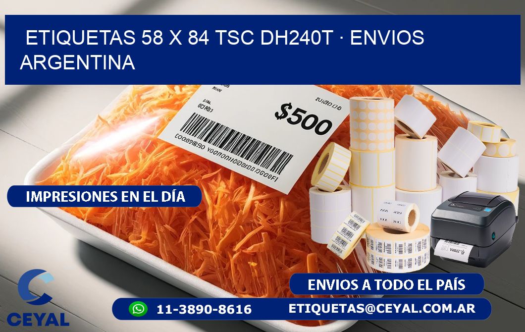 ETIQUETAS 58 x 84 TSC DH240T · ENVIOS ARGENTINA