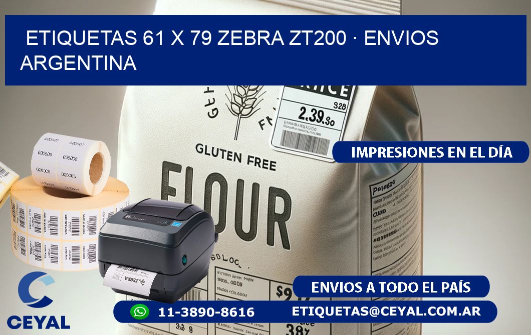 ETIQUETAS 61 x 79 ZEBRA ZT200 · ENVIOS ARGENTINA