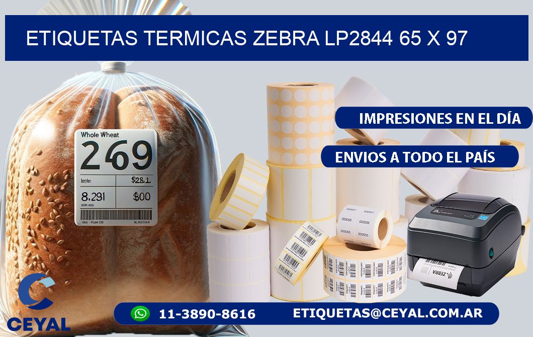 ETIQUETAS TERMICAS ZEBRA LP2844 65 x 97