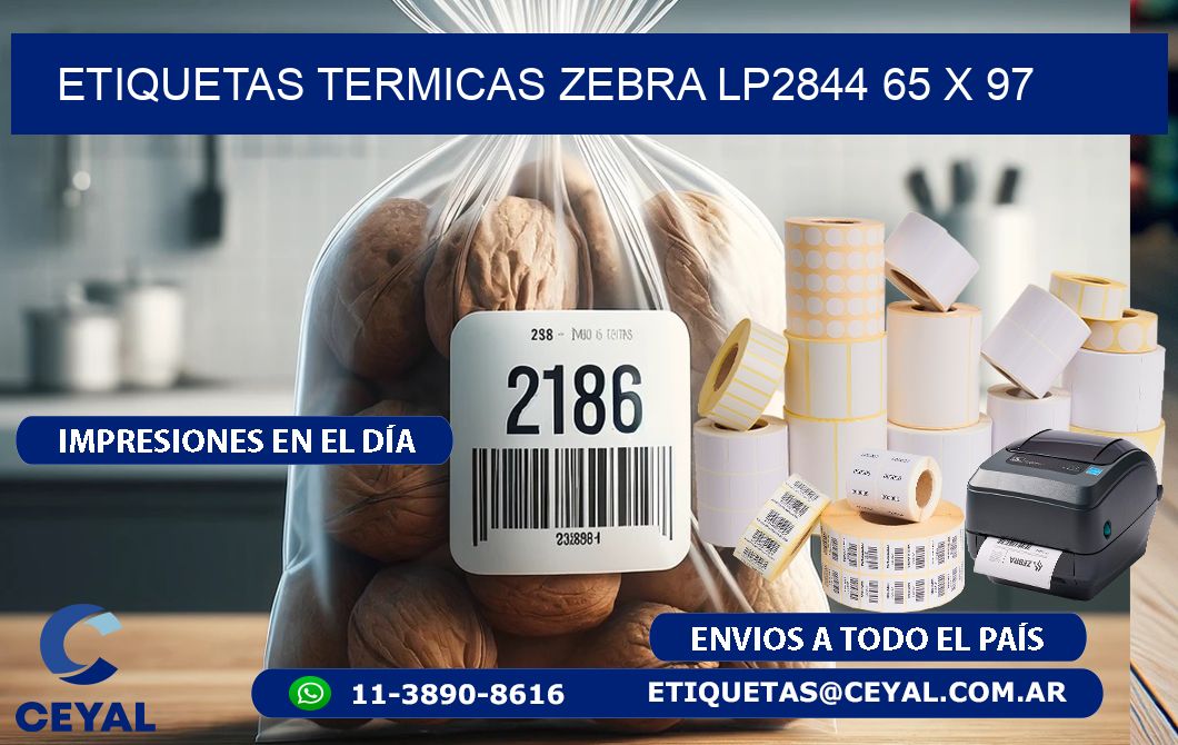 ETIQUETAS TERMICAS ZEBRA LP2844 65 x 97