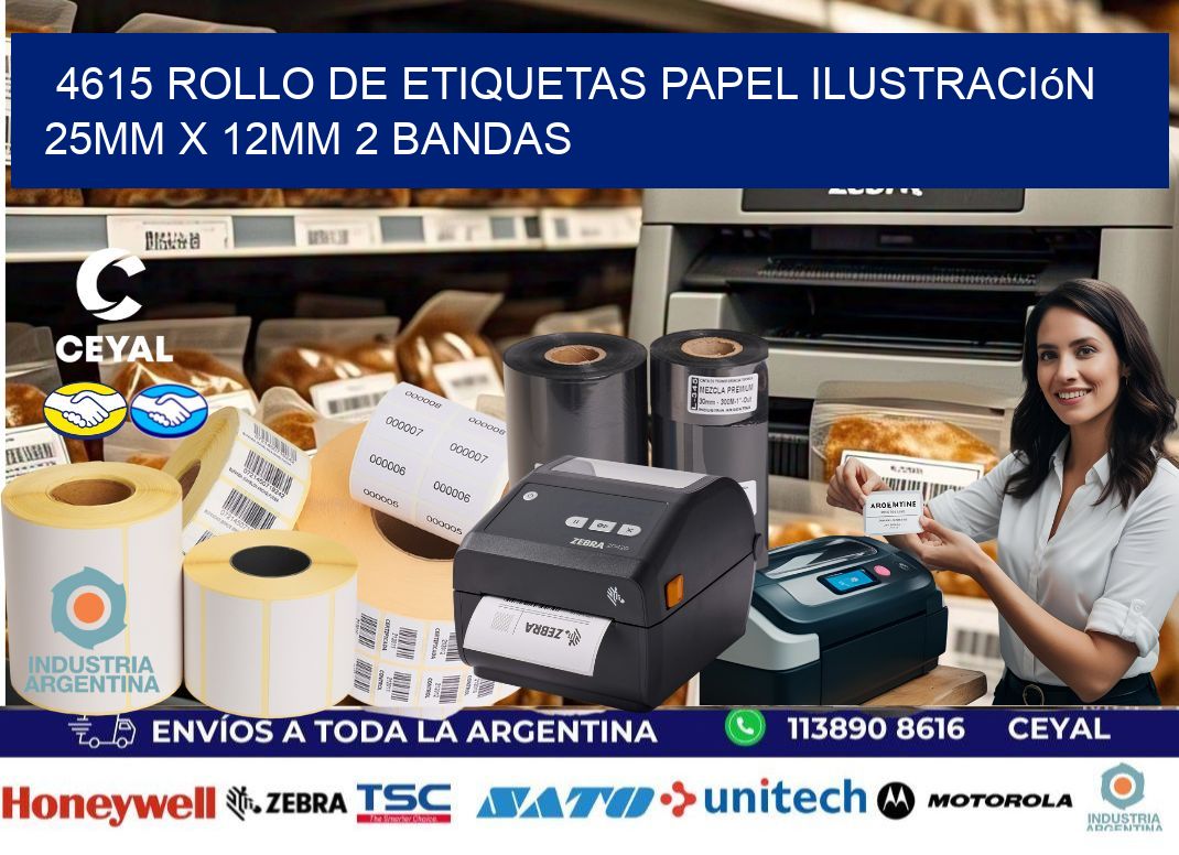 4615 Rollo de Etiquetas Papel Ilustración 25mm x 12mm 2 Bandas