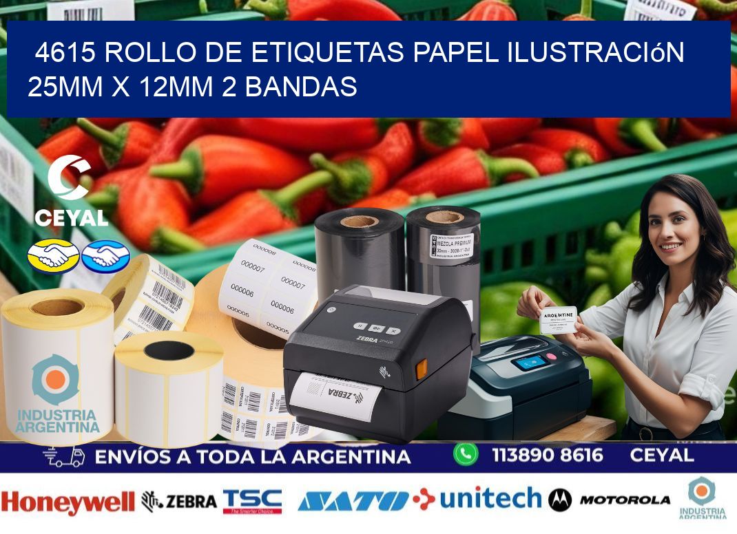 4615 Rollo de Etiquetas Papel Ilustración 25mm x 12mm 2 Bandas