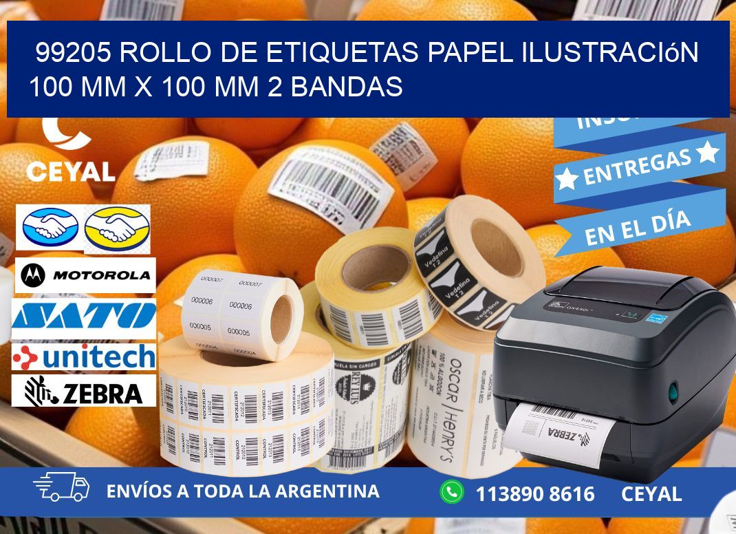 99205 Rollo de Etiquetas Papel Ilustración 100 mm x 100 mm 2 Bandas