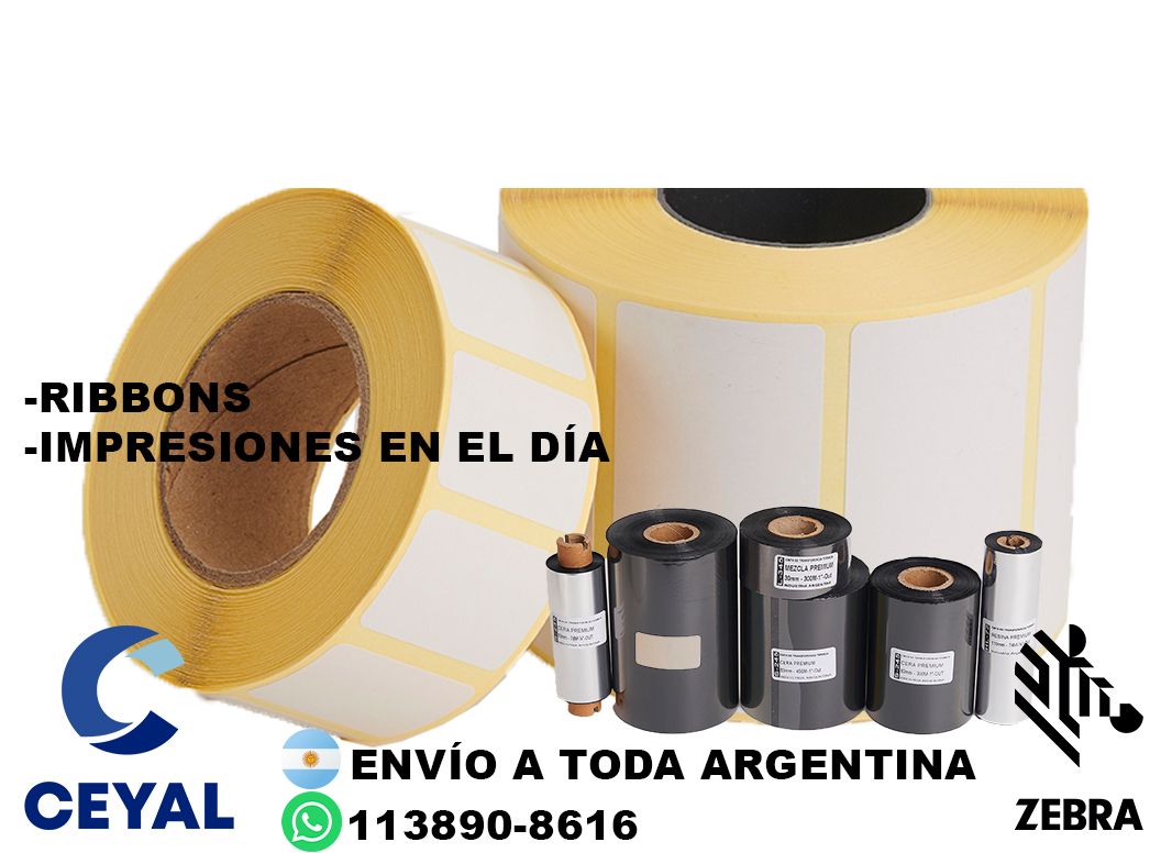 impresora zebra zd221 + 56225 etiquetas + ribbon